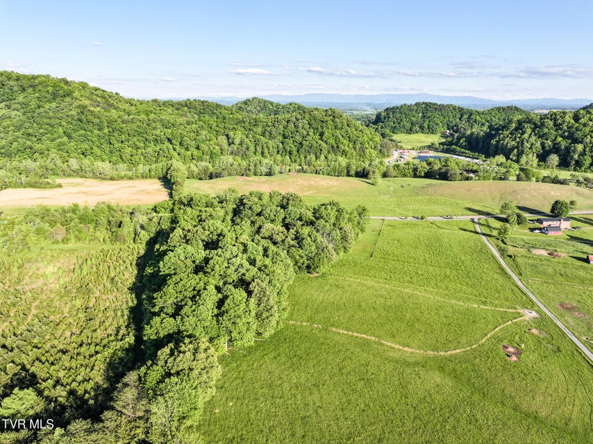 Photo #11: Tbd Lonesome Pine (Lot# 8) Trail