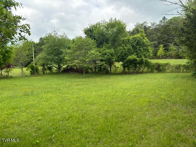 Photo #5: 8415 Baileyton Road
