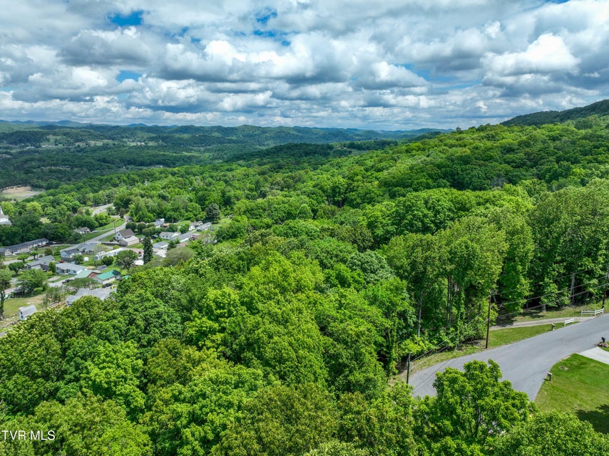 Photo #7: 000 Fairhill Road