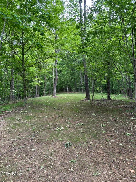 Photo #9: Tbd Heritage North Road