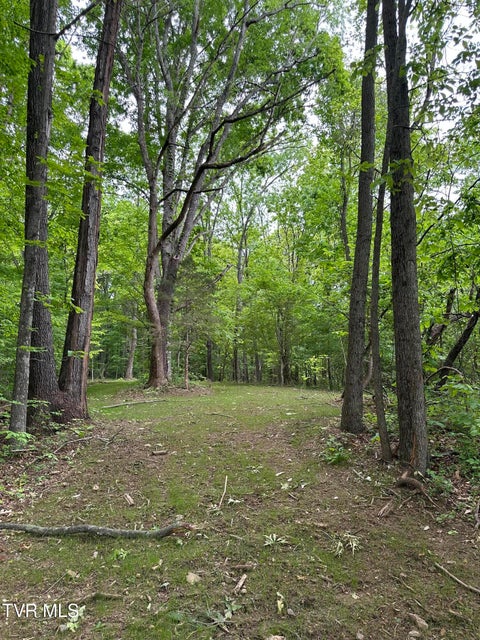 Photo #10: Tbd Heritage North Road