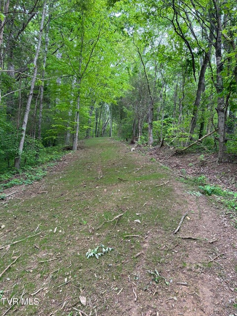 Photo #11: Tbd Heritage North Road