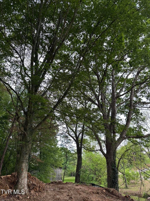 Photo #7: Tbd Heritage North Road