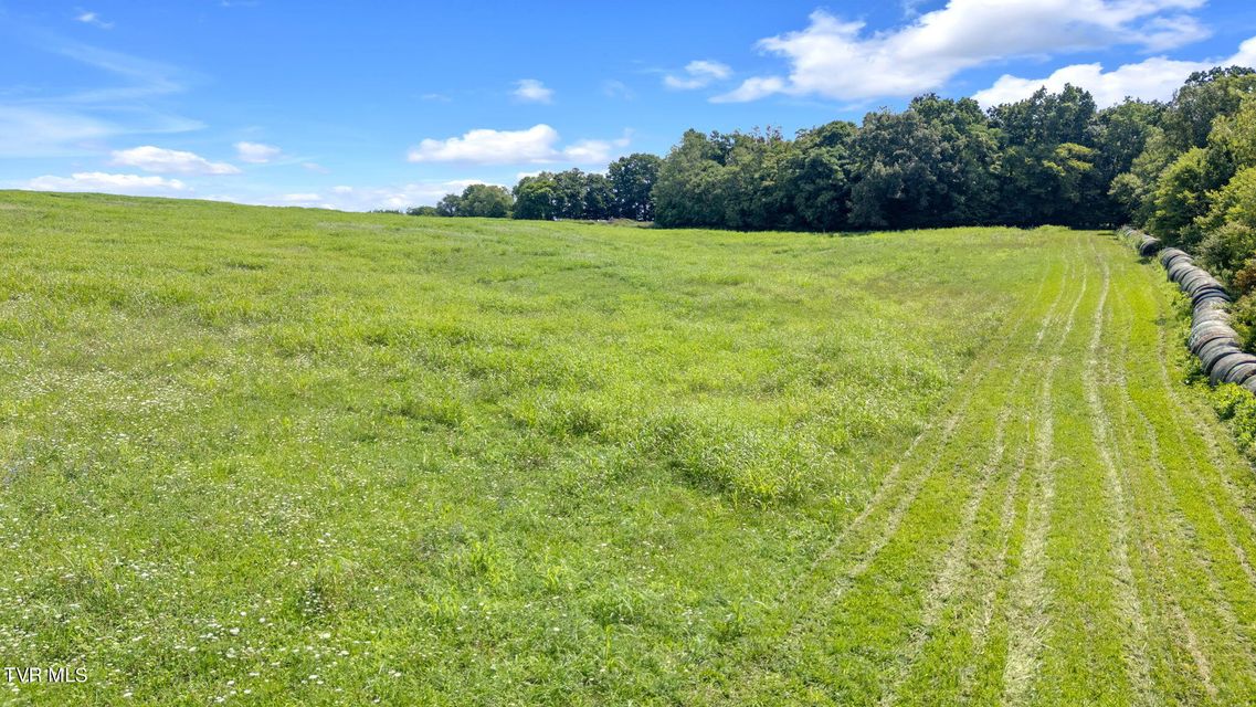 Photo #29: 2200 Old Hall Parcel 3 Road