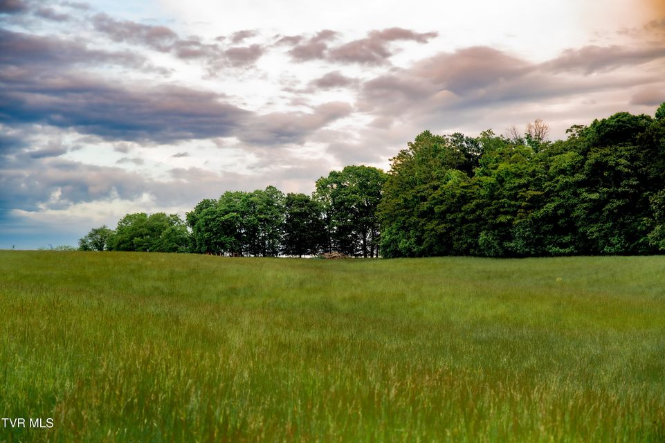 Photo #2: 2200 Old Hall Parcel 3 Road