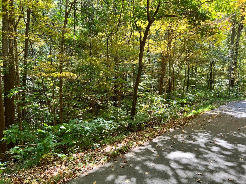 Photo #2: 1875 Dyer Hollow Road
