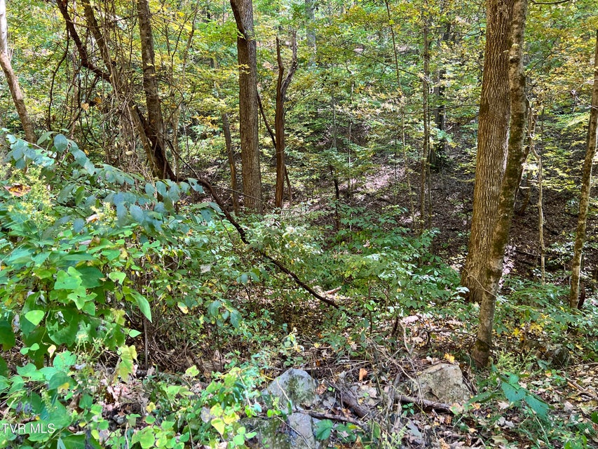 Photo #3: 1875 Dyer Hollow Road