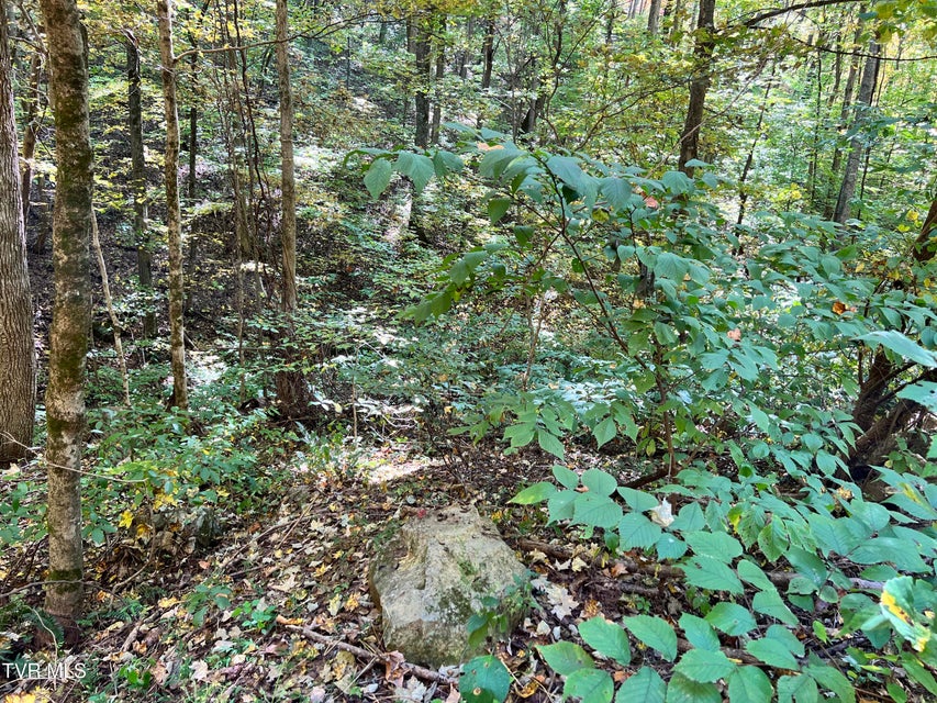 Photo #4: 1875 Dyer Hollow Road