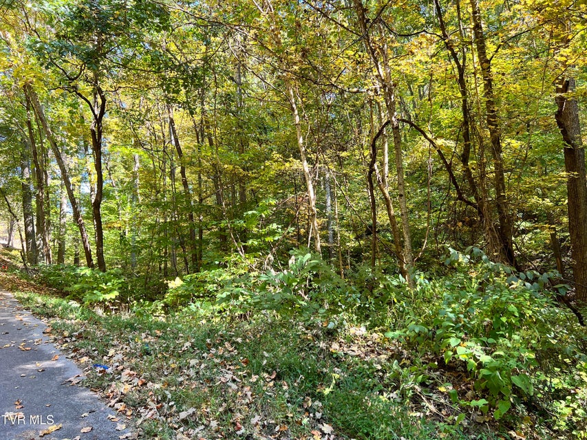 Photo #5: 1875 Dyer Hollow Road