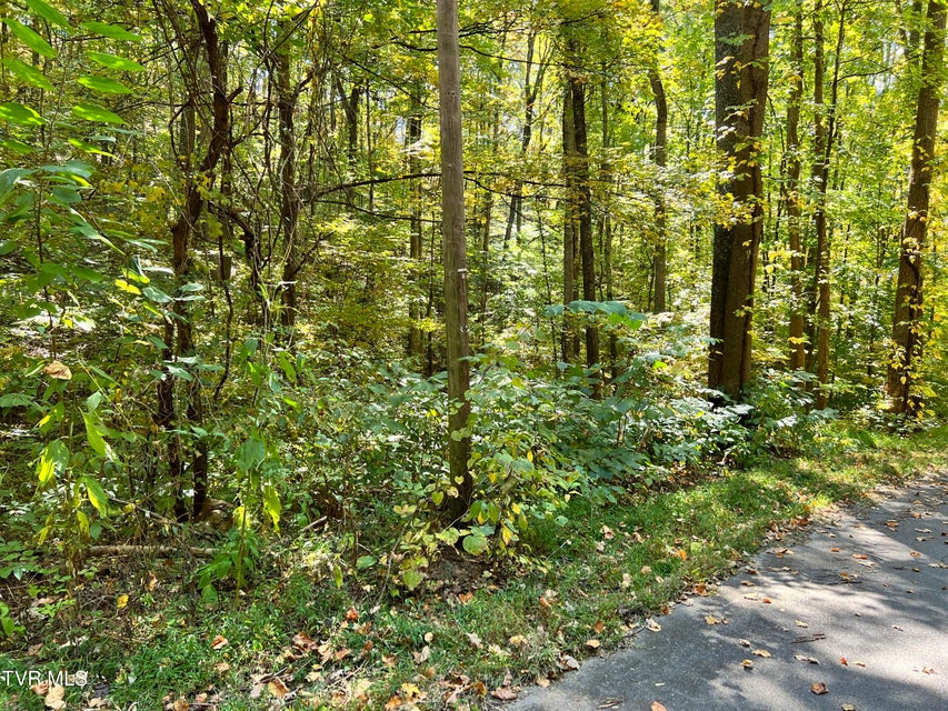 Photo #6: 1875 Dyer Hollow Road