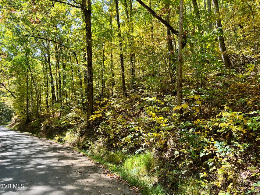 Photo #7: 1875 Dyer Hollow Road