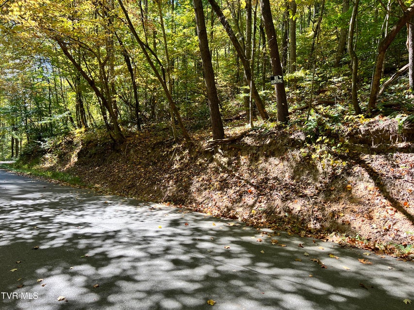 Photo #8: 1875 Dyer Hollow Road