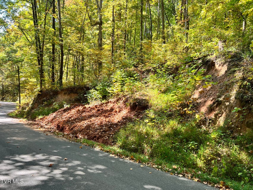 Photo #10: 1875 Dyer Hollow Road