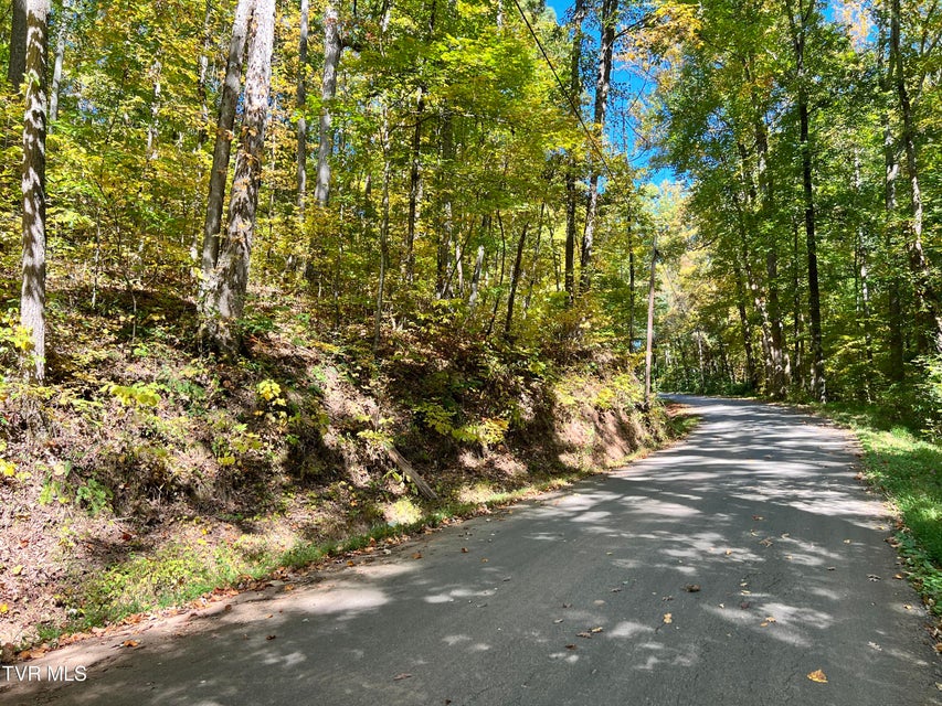 Photo #12: 1875 Dyer Hollow Road