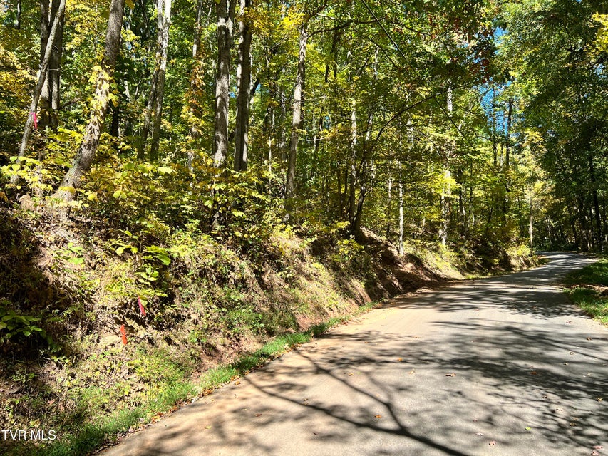 Photo #13: 1875 Dyer Hollow Road
