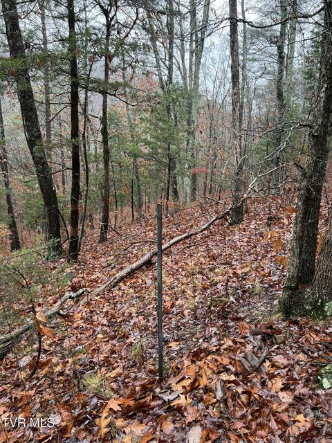 Photo #16: 1875 Dyer Hollow Road