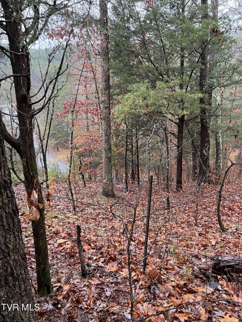 Photo #17: 1875 Dyer Hollow Road