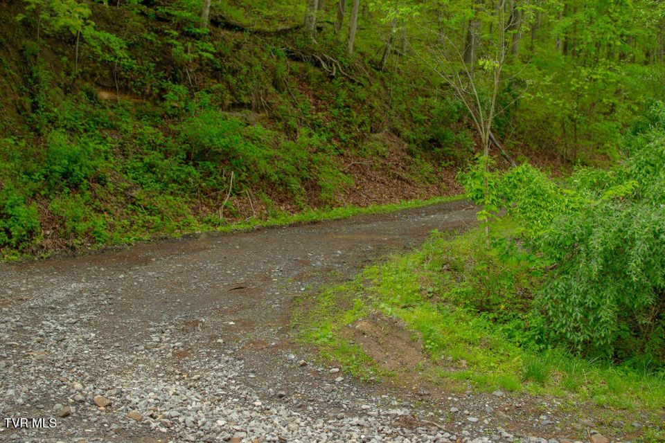 Photo #4: 0 Horse Branch Road