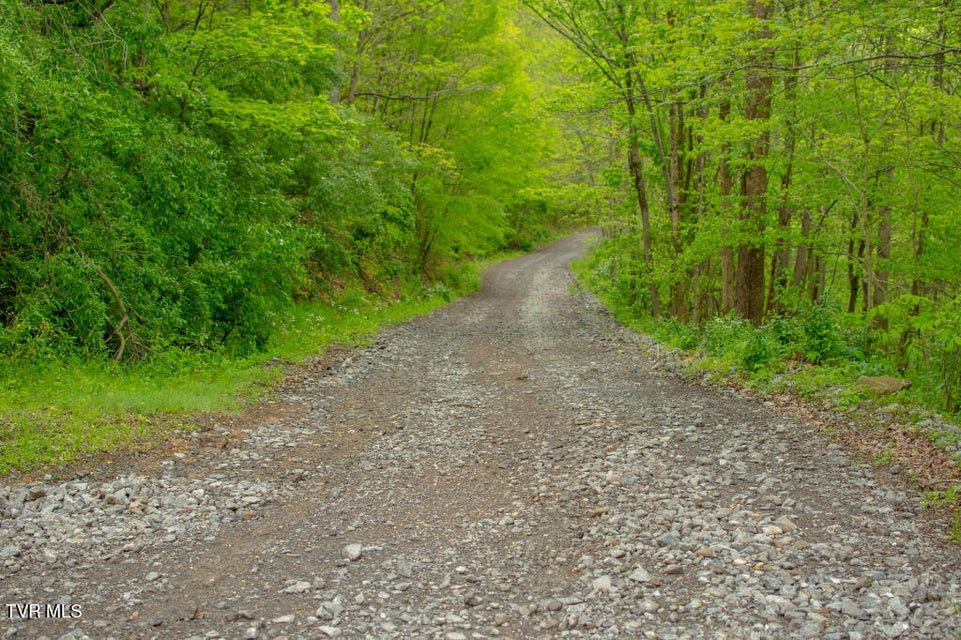 Photo #5: 0 Horse Branch Road