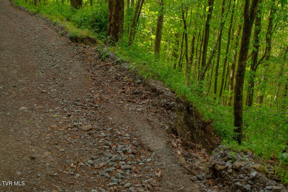 Photo #7: 0 Horse Branch Road