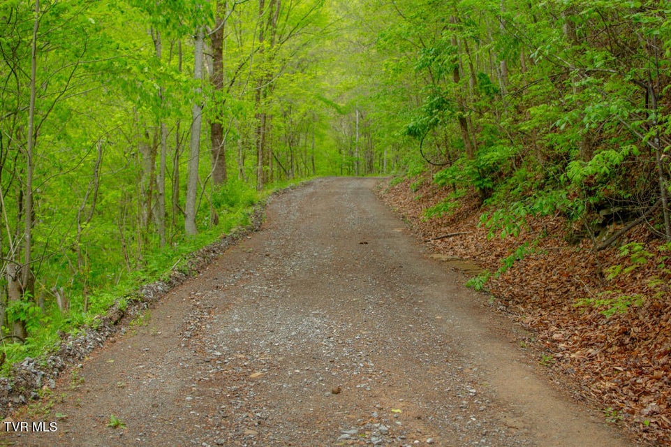 Photo #11: 0 Horse Branch Road