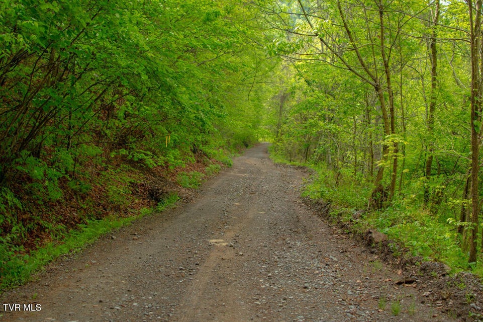 Photo #15: 0 Horse Branch Road