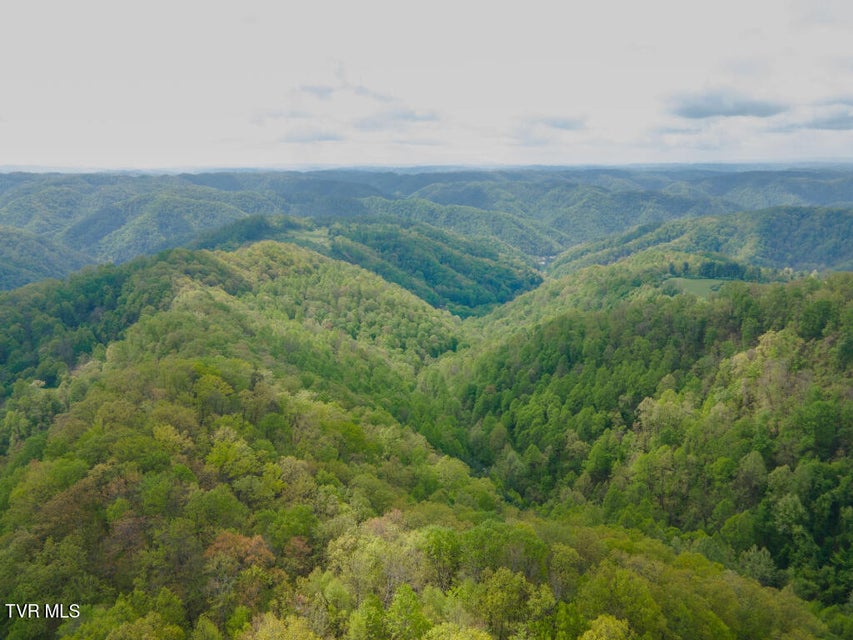 Photo #20: 0 Horse Branch Road