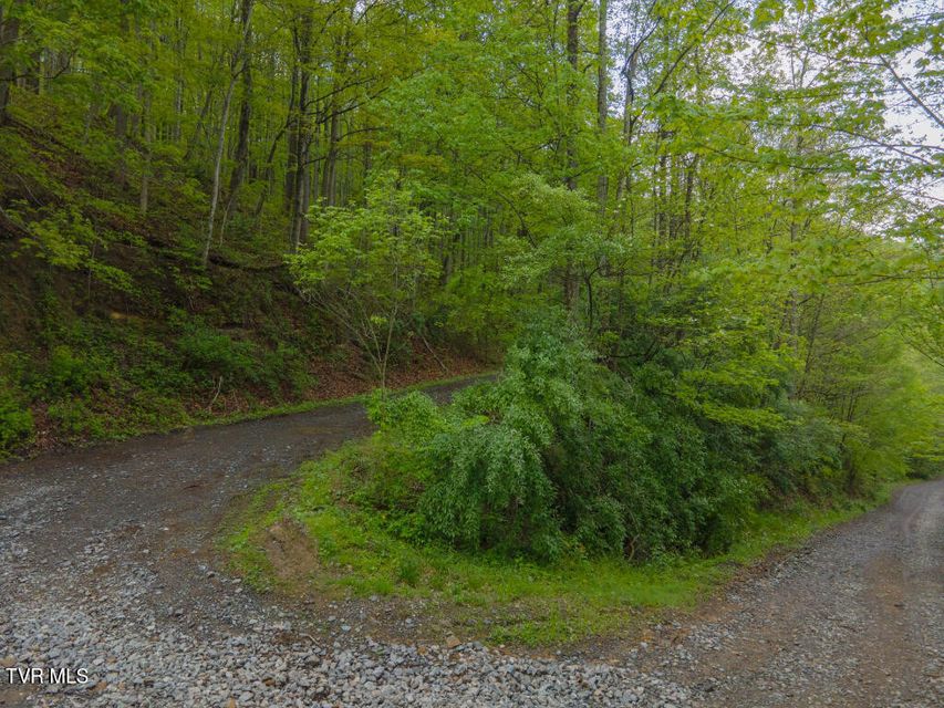 Photo #21: 0 Horse Branch Road