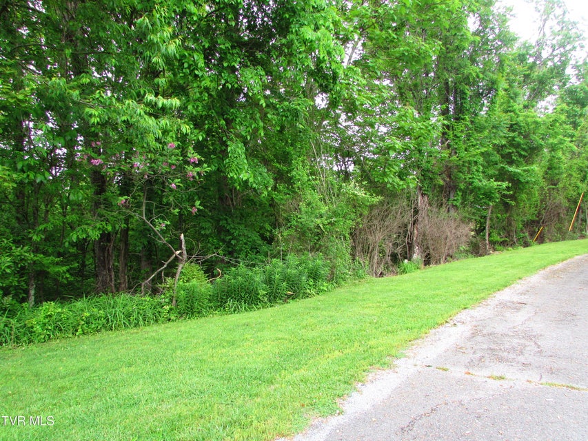 Photo #2: Tbd Redwood Drive