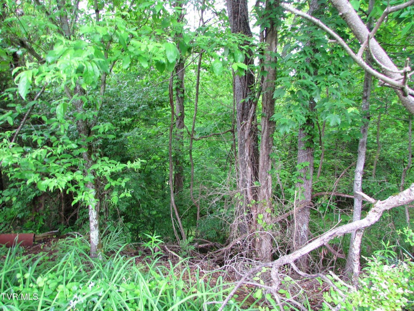 Photo #3: Tbd Redwood Drive