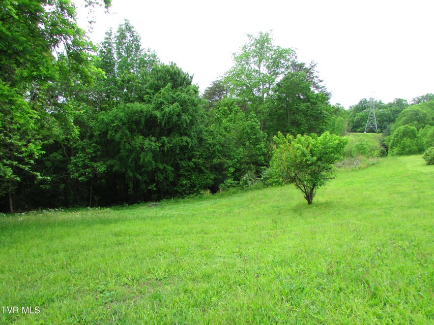 Photo #5: Tbd Redwood Drive