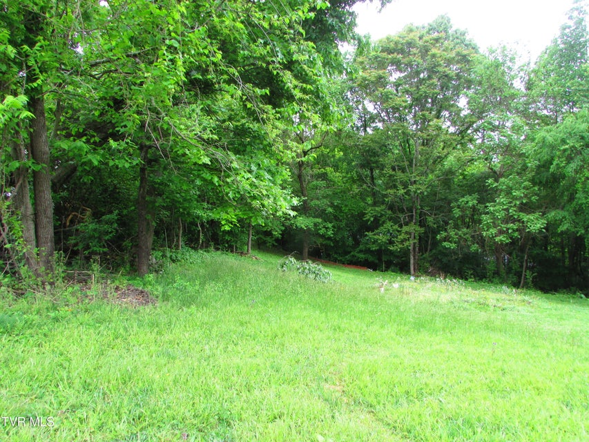 Photo #7: Tbd Redwood Drive