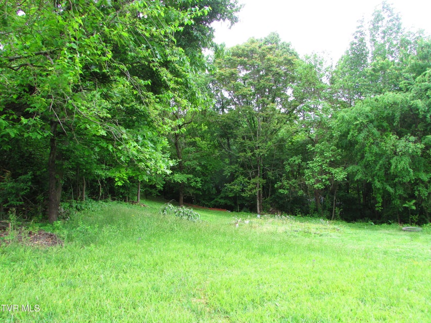 Photo #8: Tbd Redwood Drive