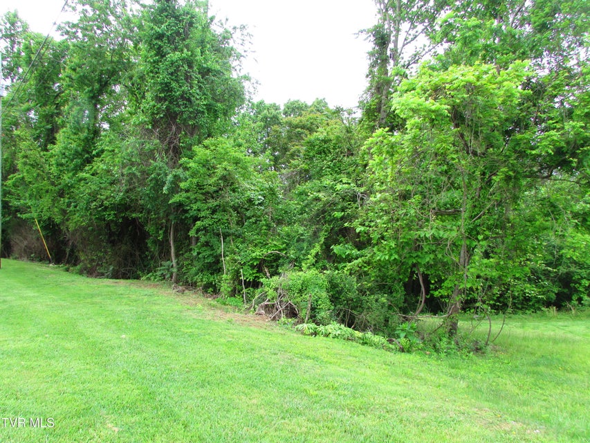 Photo #9: Tbd Redwood Drive