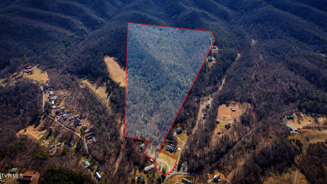 Photo #2: 57.67/Ac Tbd Powder Branch Road