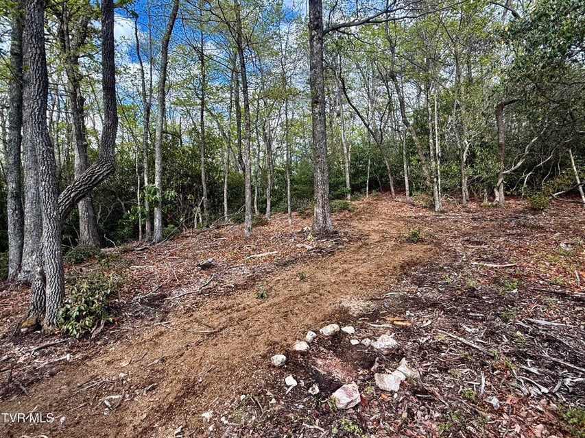 Photo #6: 57.67/Ac Tbd Powder Branch Road