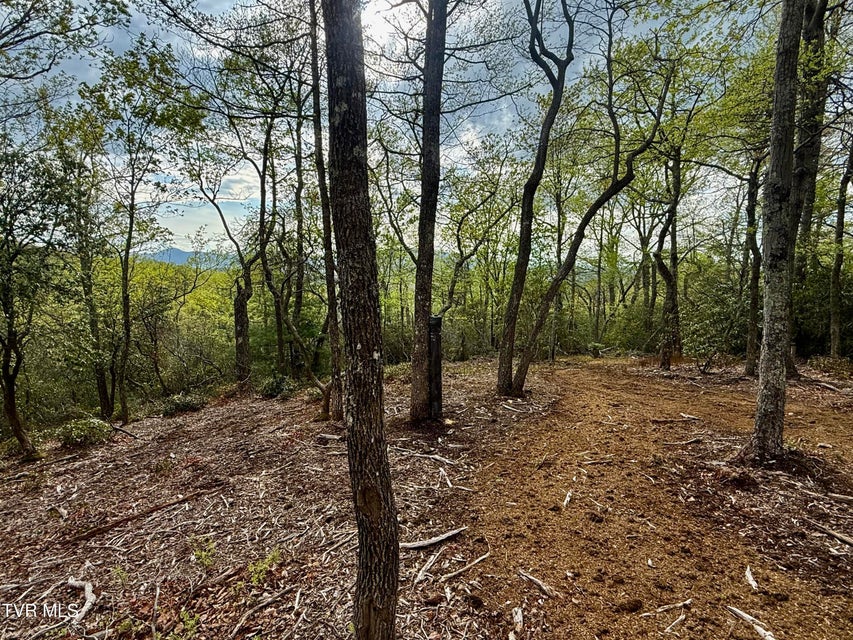 Photo #8: 57.67/Ac Tbd Powder Branch Road