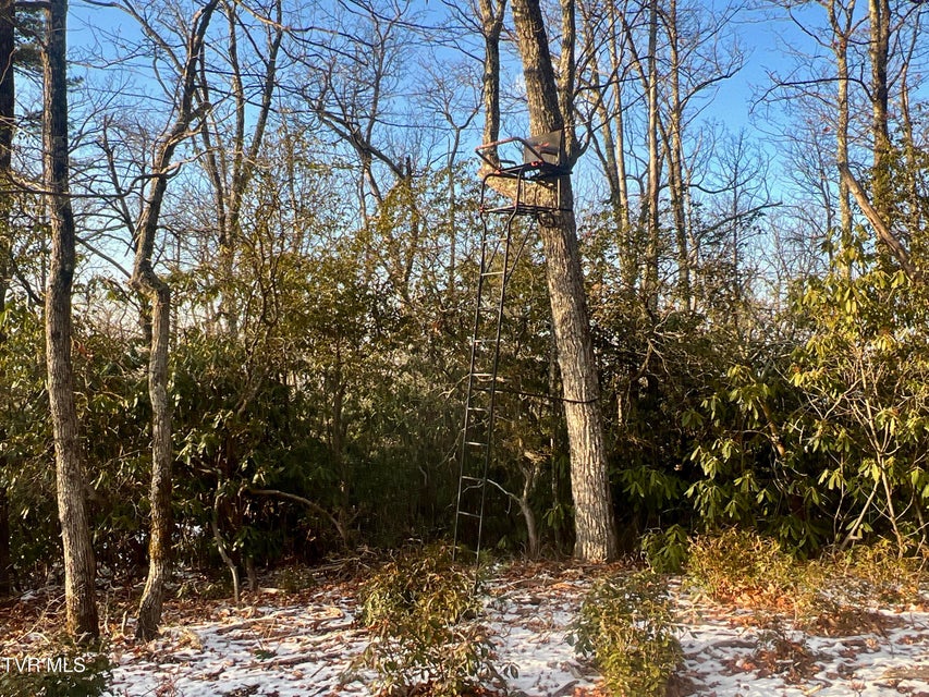 Photo #11: 57.67/Ac Tbd Powder Branch Road