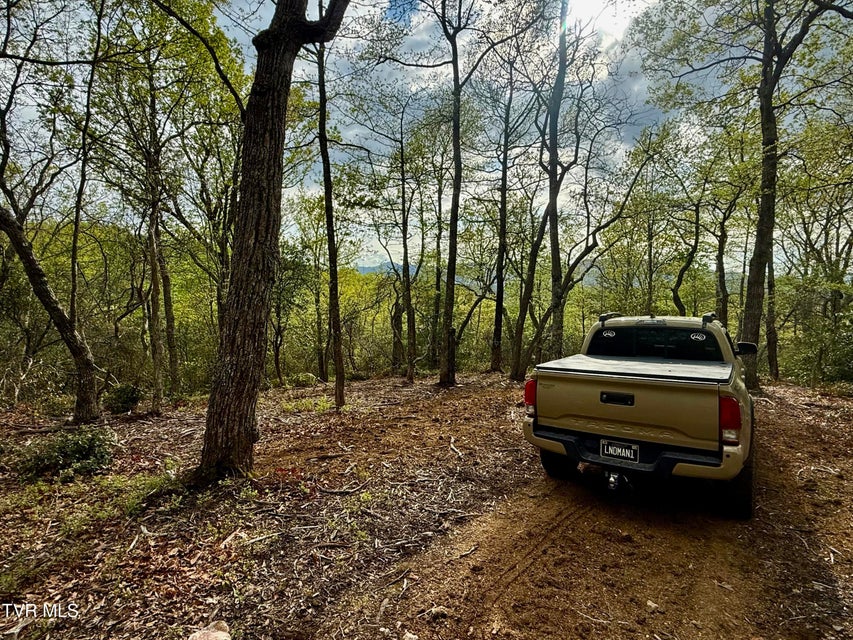 Photo #12: 57.67/Ac Tbd Powder Branch Road