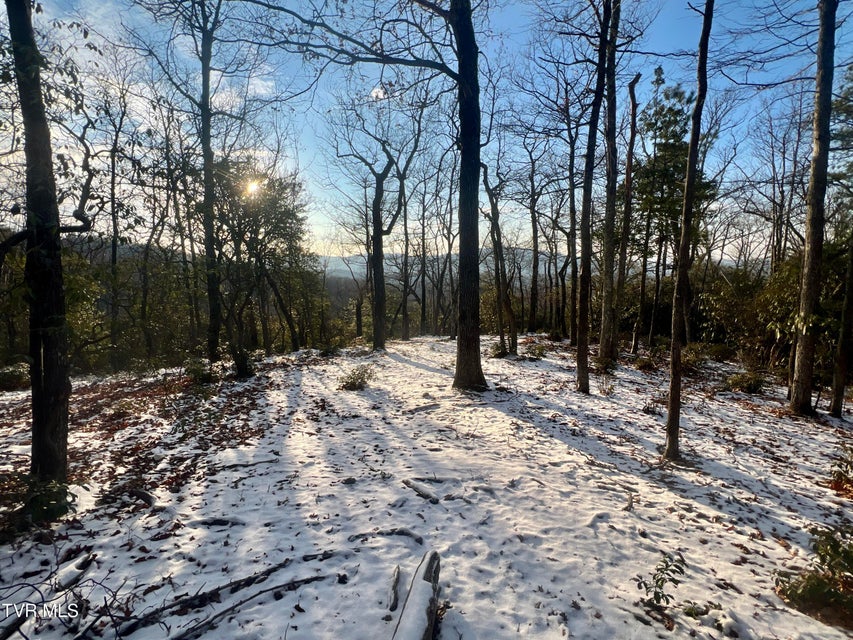 Photo #16: 57.67/Ac Tbd Powder Branch Road