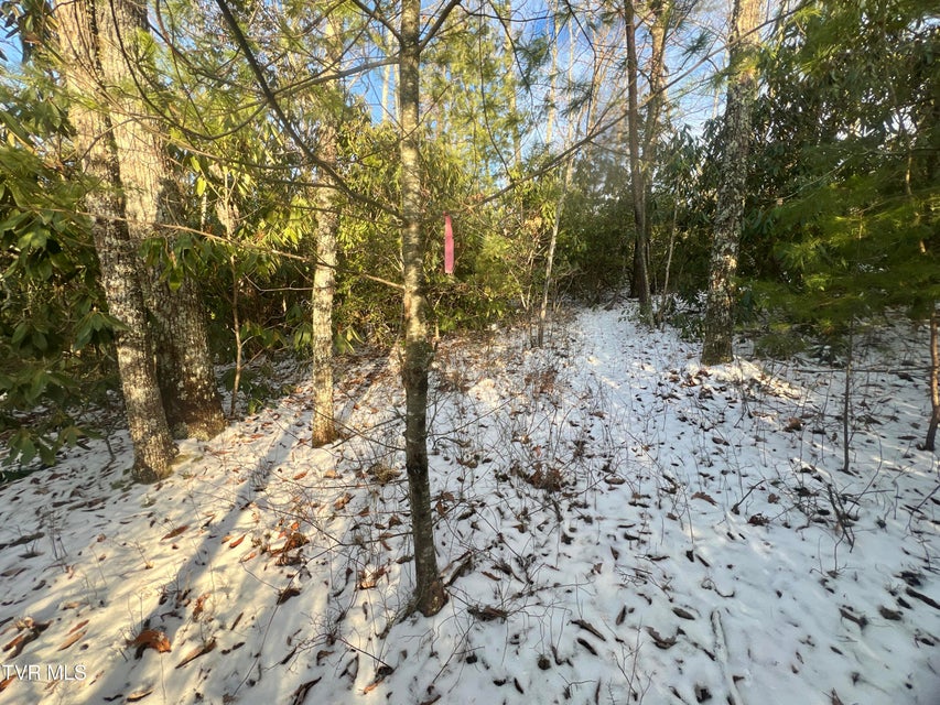 Photo #18: 57.67/Ac Tbd Powder Branch Road