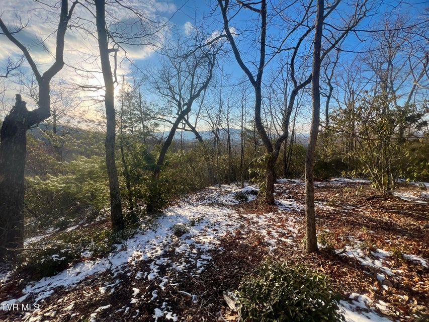 Photo #19: 57.67/Ac Tbd Powder Branch Road