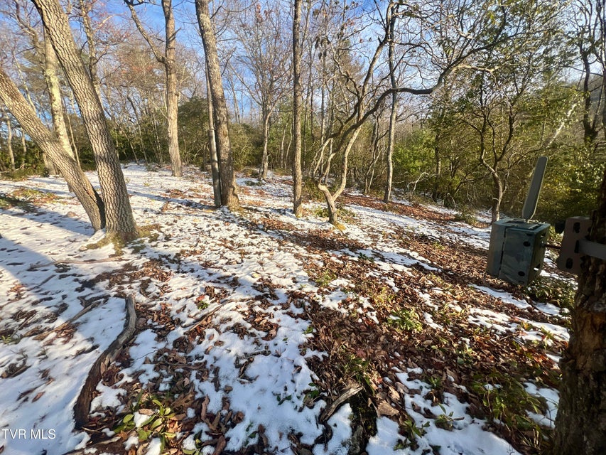 Photo #20: 57.67/Ac Tbd Powder Branch Road