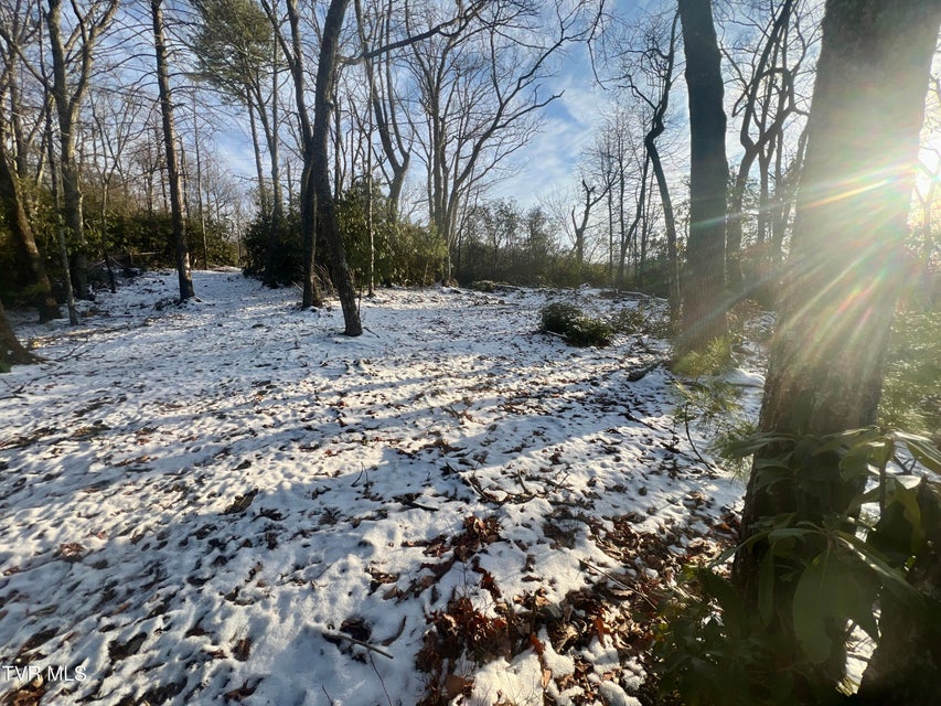 Photo #21: 57.67/Ac Tbd Powder Branch Road