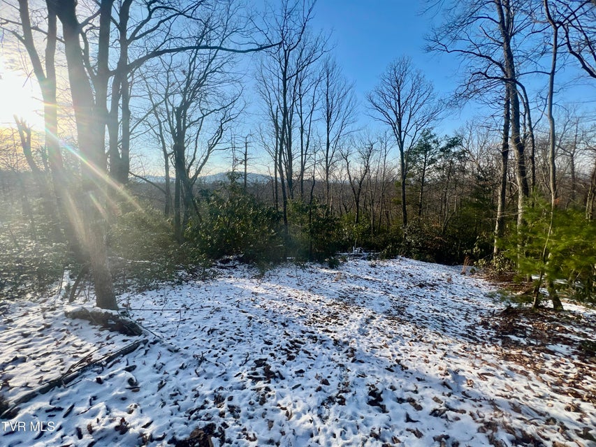 Photo #22: 57.67/Ac Tbd Powder Branch Road