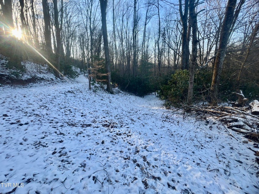 Photo #23: 57.67/Ac Tbd Powder Branch Road
