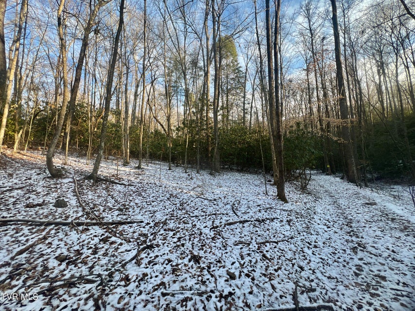 Photo #24: 57.67/Ac Tbd Powder Branch Road