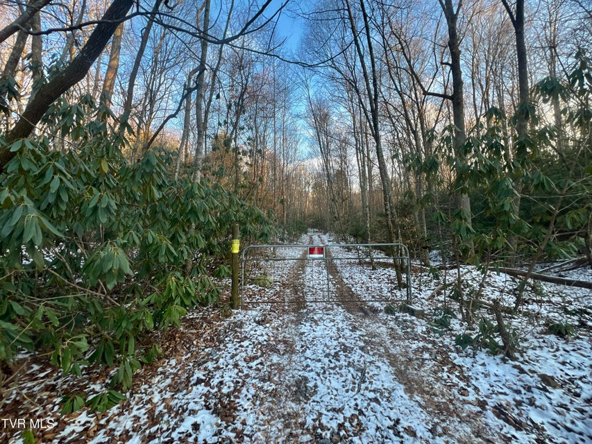 Photo #25: 57.67/Ac Tbd Powder Branch Road