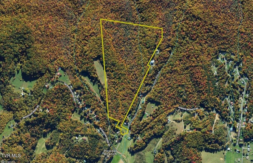 Photo #38: 57.67/Ac Tbd Powder Branch Road