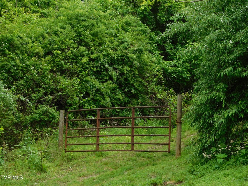 Photo #6: 4314 Big Hill Road